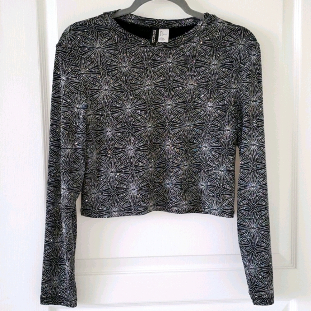 H&M Shimmery Crop Top